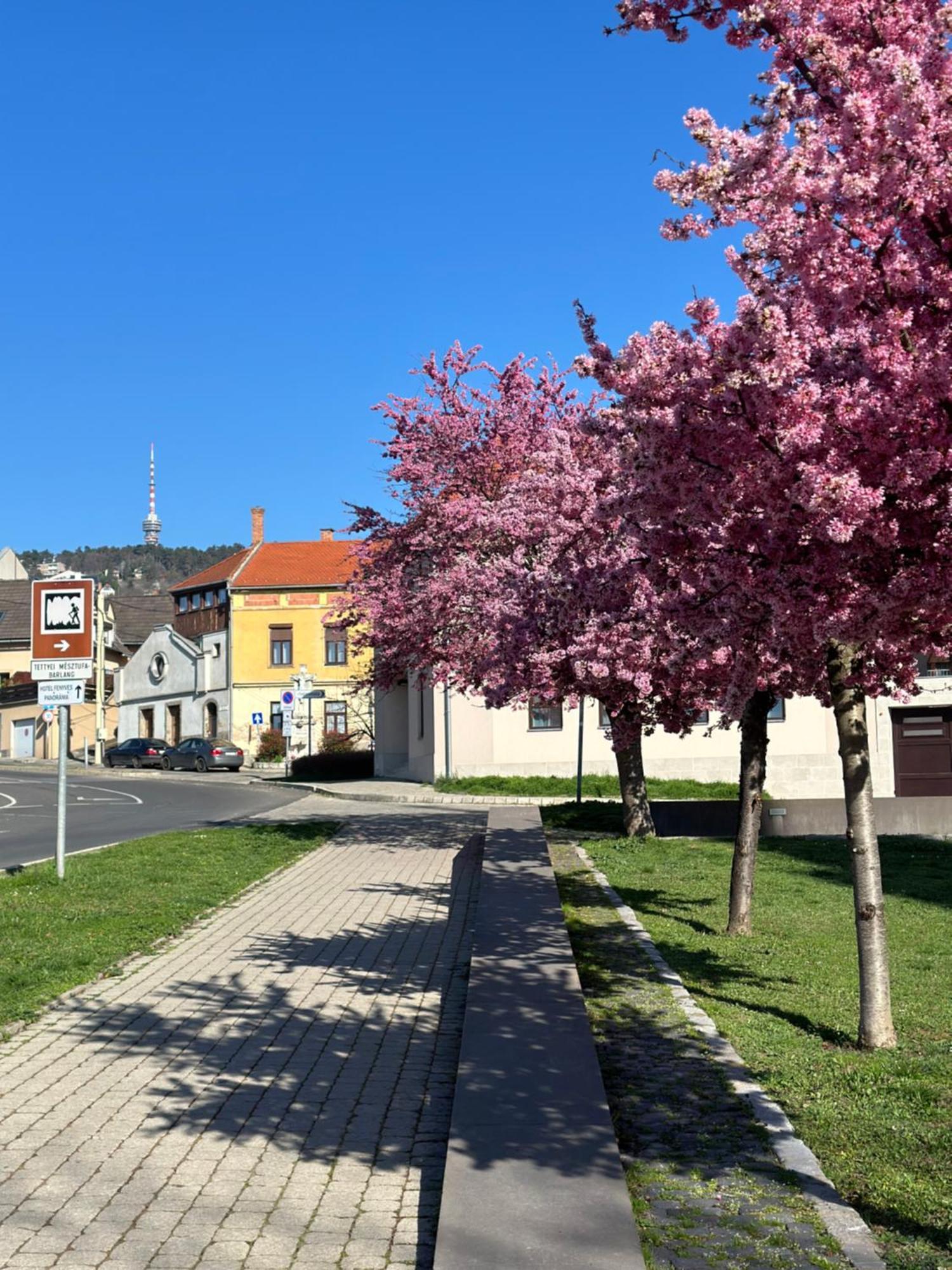 M18 - Csak Egy Lepes A Toertenelmi Belvaros - Free Parking Печ Экстерьер фото